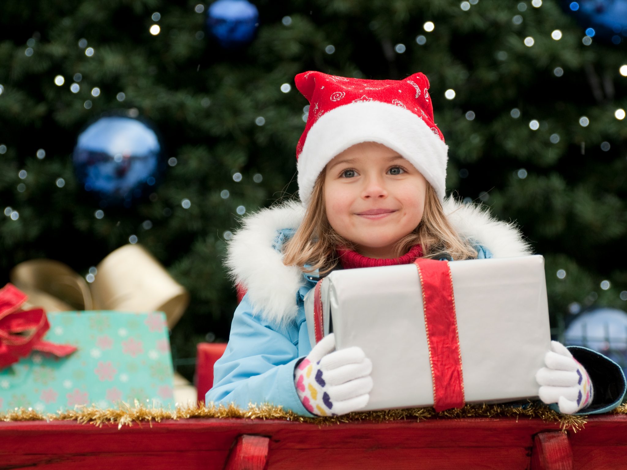 Little girl in Christmas sledge