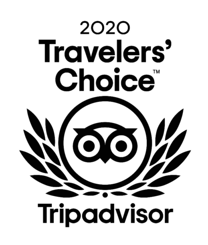 2020 tripadvisor travelers' choice award logo
