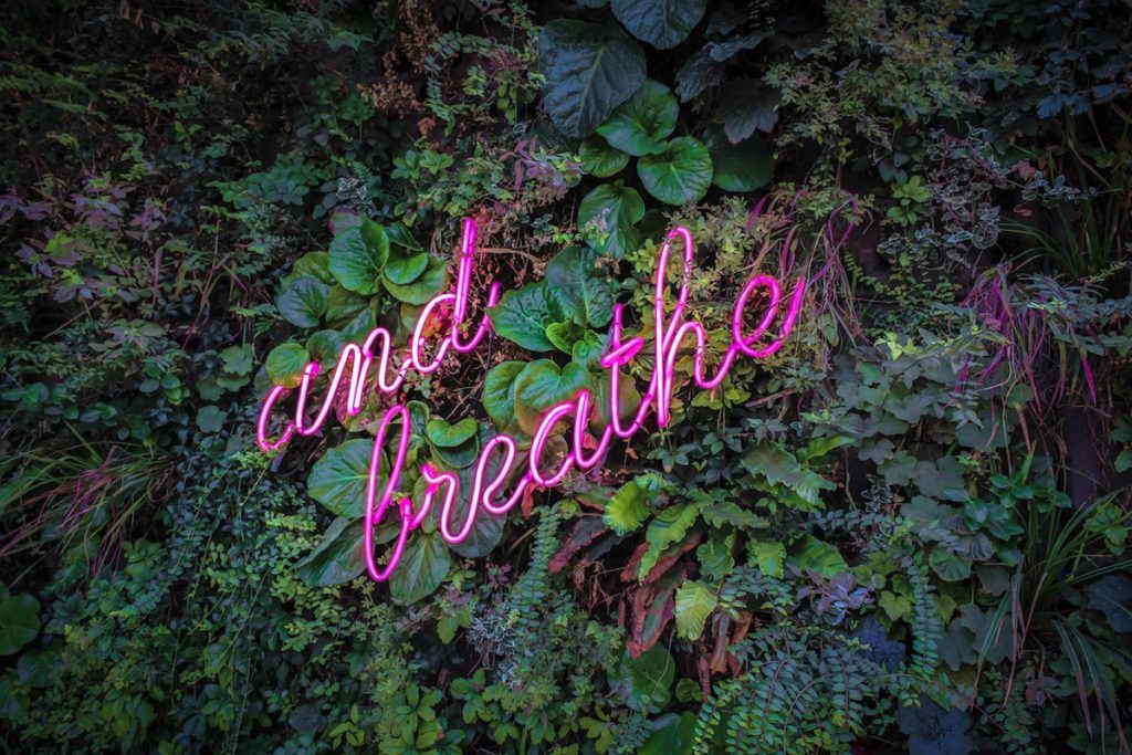 Wall covered with plants and a pink neon light that says "and breathe" in cursive font