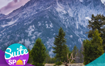 44 – Experiential Travel Featuring Kirk Pederson