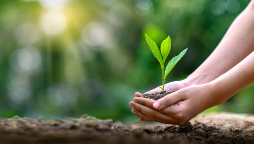 Sustainability is Key in Hospitality Post COVID-19