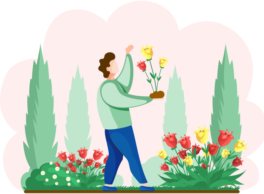 Man tending garden of flowers