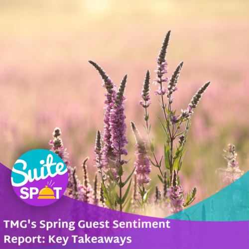 114 – TMG’s Spring Guest Sentiment Report: Key Takeaways